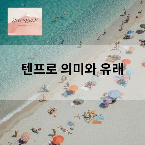 텐프로 란 무엇인가? 의미와 유래
