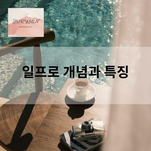 강남 일프로 개념과 특징