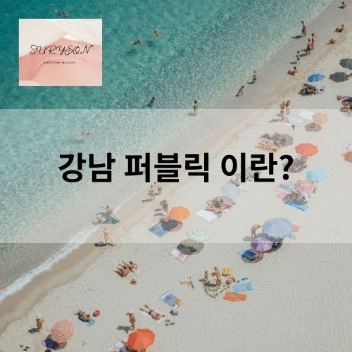 강남 퍼블릭 시스템 가격 금액 정보 후기