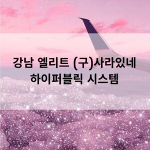 강남 엘리트 (구)사라있네 하이퍼블릭 시스템