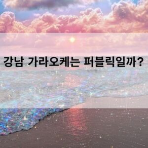강남 가라오케는 퍼블릭일까?